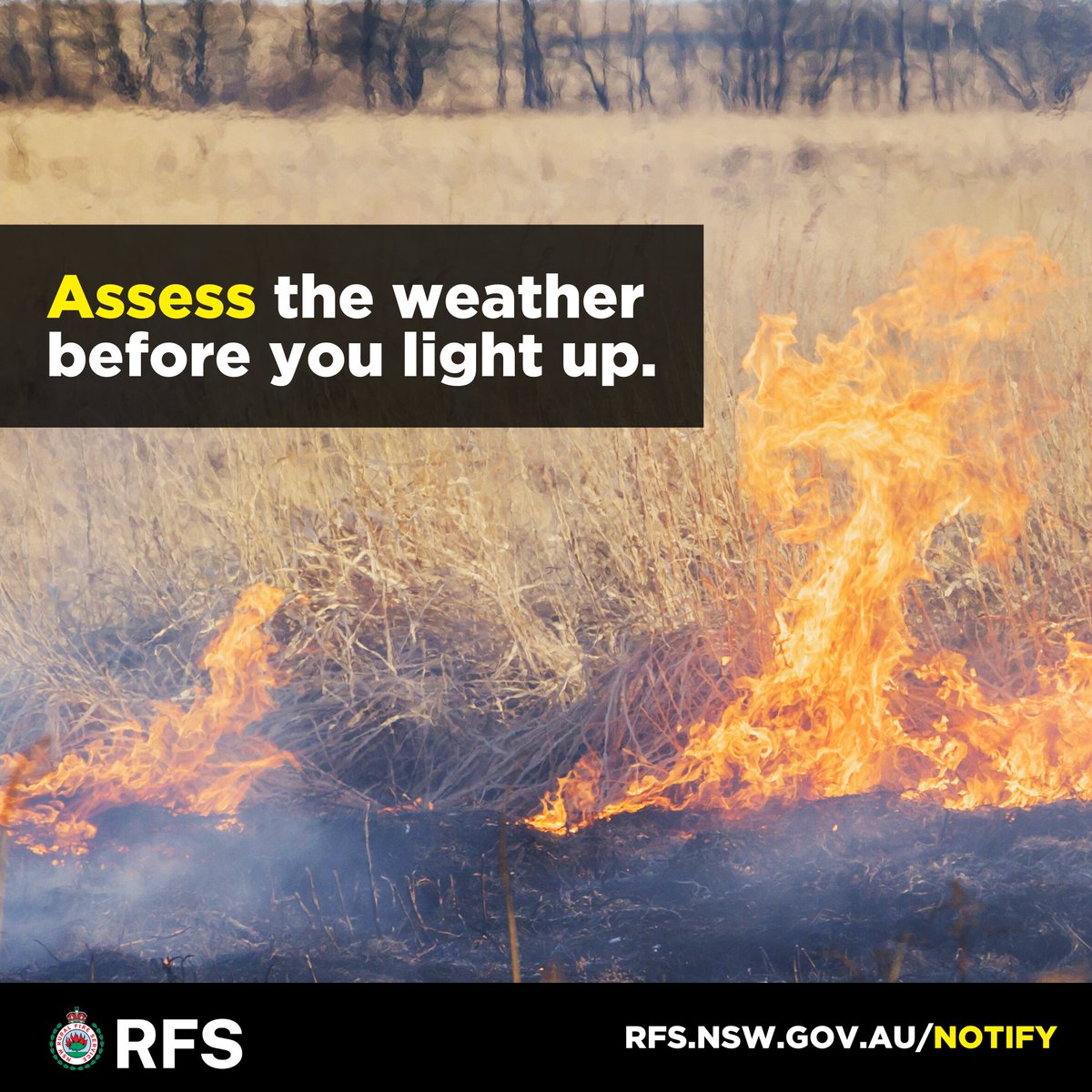 Over the coming days, parts of the state will see an increased fire risk as the dry and windy conditions continue. If you are planning on conducting a pile burn, do so responsibly and follow the safe burning guidelines. For more information visit rfs.nsw.gov.au/safeburning