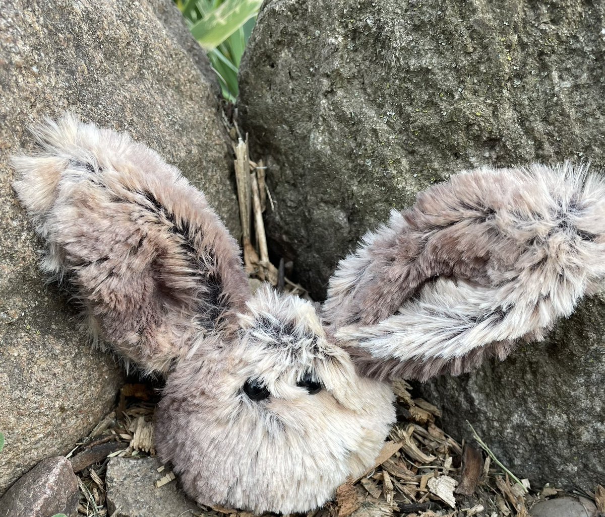 Took a few friends on an adventure
today... sometimes you just need to get out of the house and enjoy the fresh air. #sensoryplush #sensorypets #weightedplush