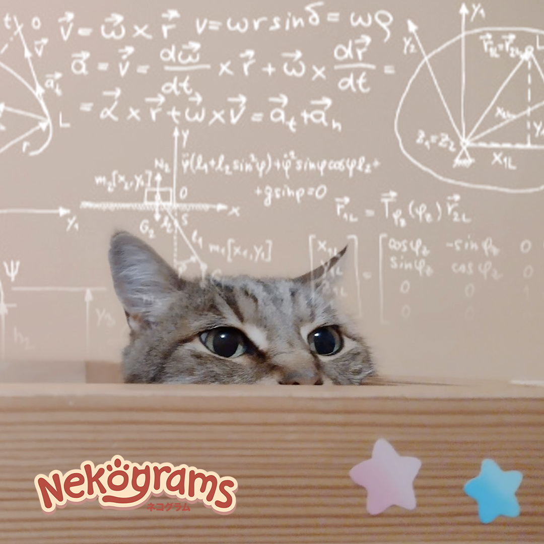 Me trying to figure out the minimum moves before moving any cats... 📐➗✖️💭
#puzzlegames #kitty #indiegame