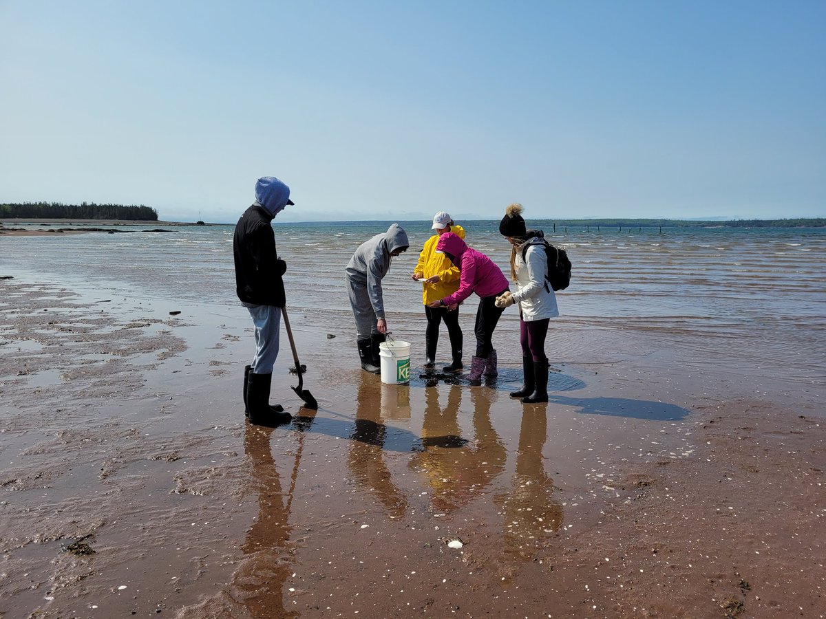 HuntsmanMarine's tweet photo. Great day with the @ImmaculataOCSB &amp; @StMarkOCSB students exploring a muddy shore, touring the #FundyDiscoveryAquarium, and dissecting fish! #HuntsmanMarine #ExploreStAndrews #ExploreNB #BayofFundy @JordanTSimard https://t.co/DGquykbes5