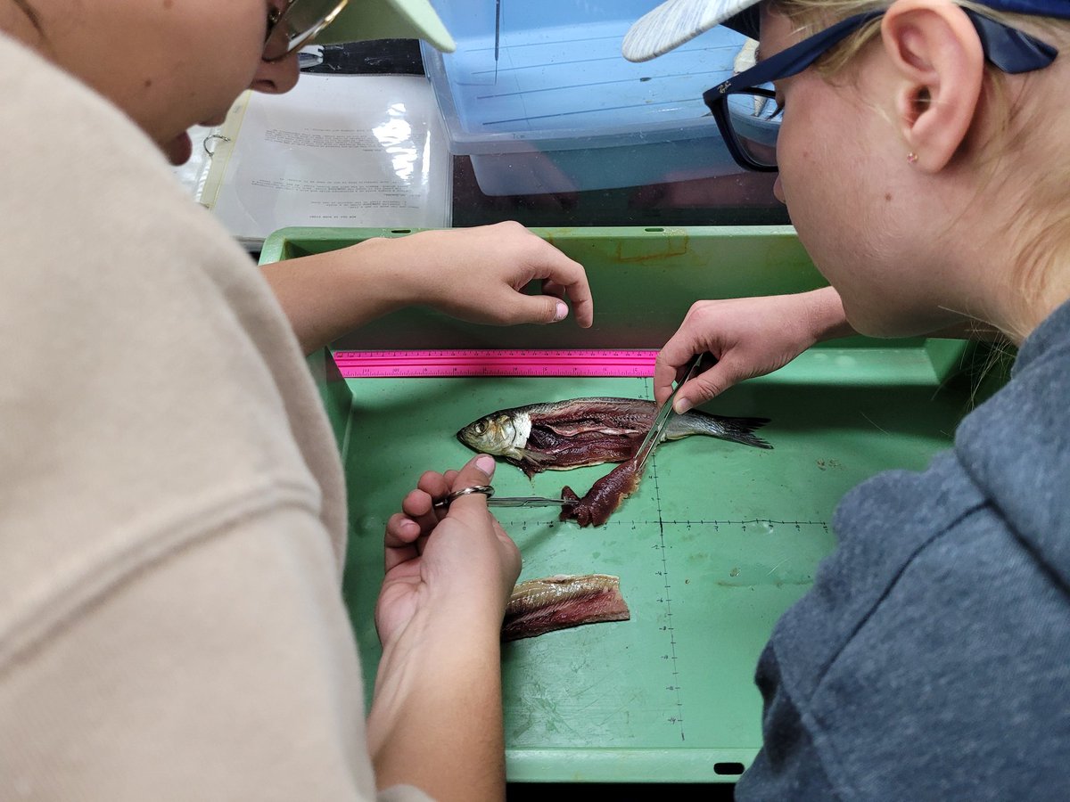 Great day with the <a href="/ImmaculataOCSB/">Immaculata High School</a> &amp; <a href="/StMarkOCSB/">St. Mark High School</a> students exploring a muddy shore, touring the #FundyDiscoveryAquarium, and dissecting fish! #HuntsmanMarine #ExploreStAndrews #ExploreNB #BayofFundy <a href="/JordanTSimard/">Jordan Simard</a>
