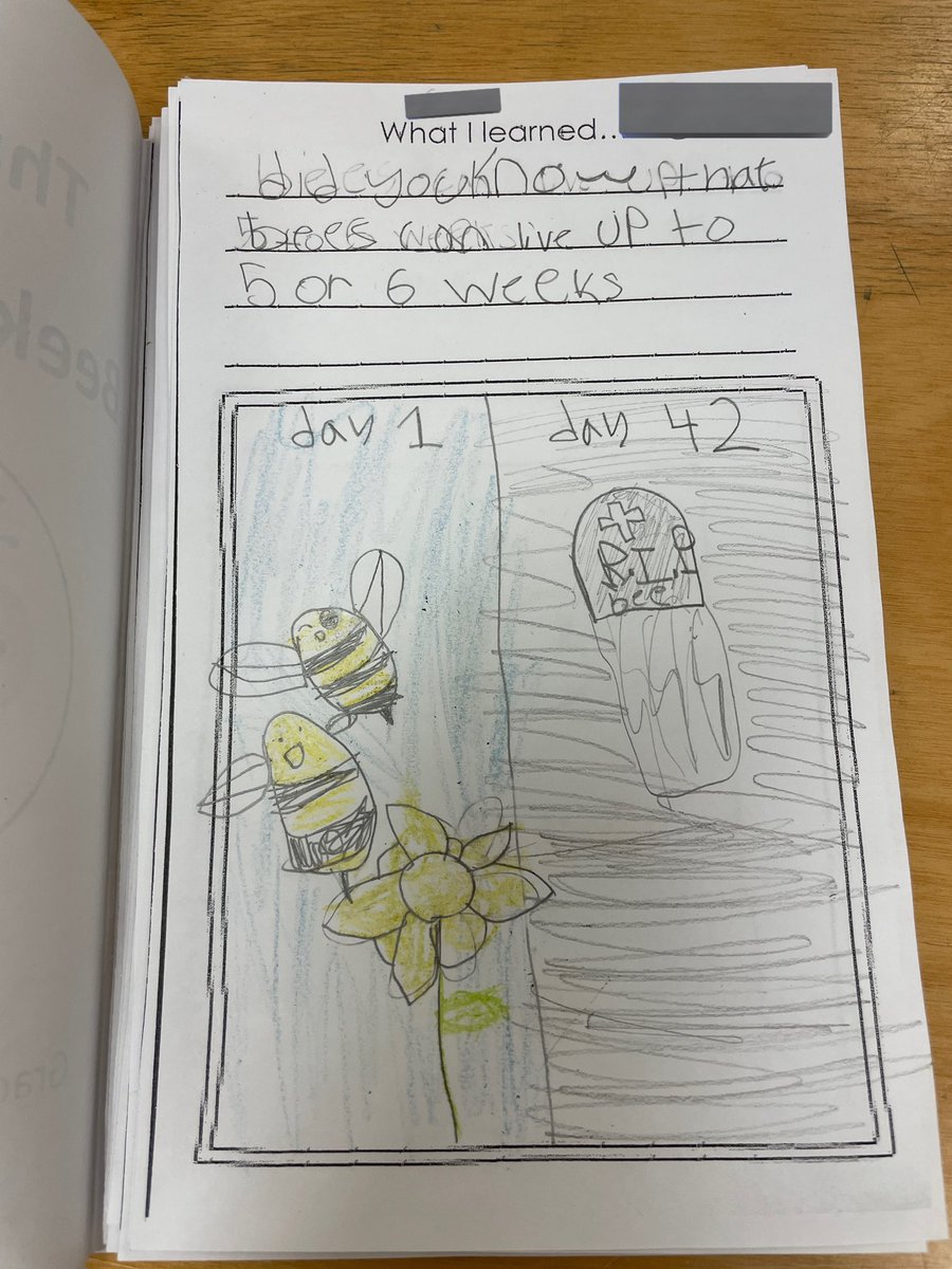 We had a beekeeper 🐝 as a virtual guest speaking in our classroom today! I had to laugh at this student’s depiction of what they had learned 😅