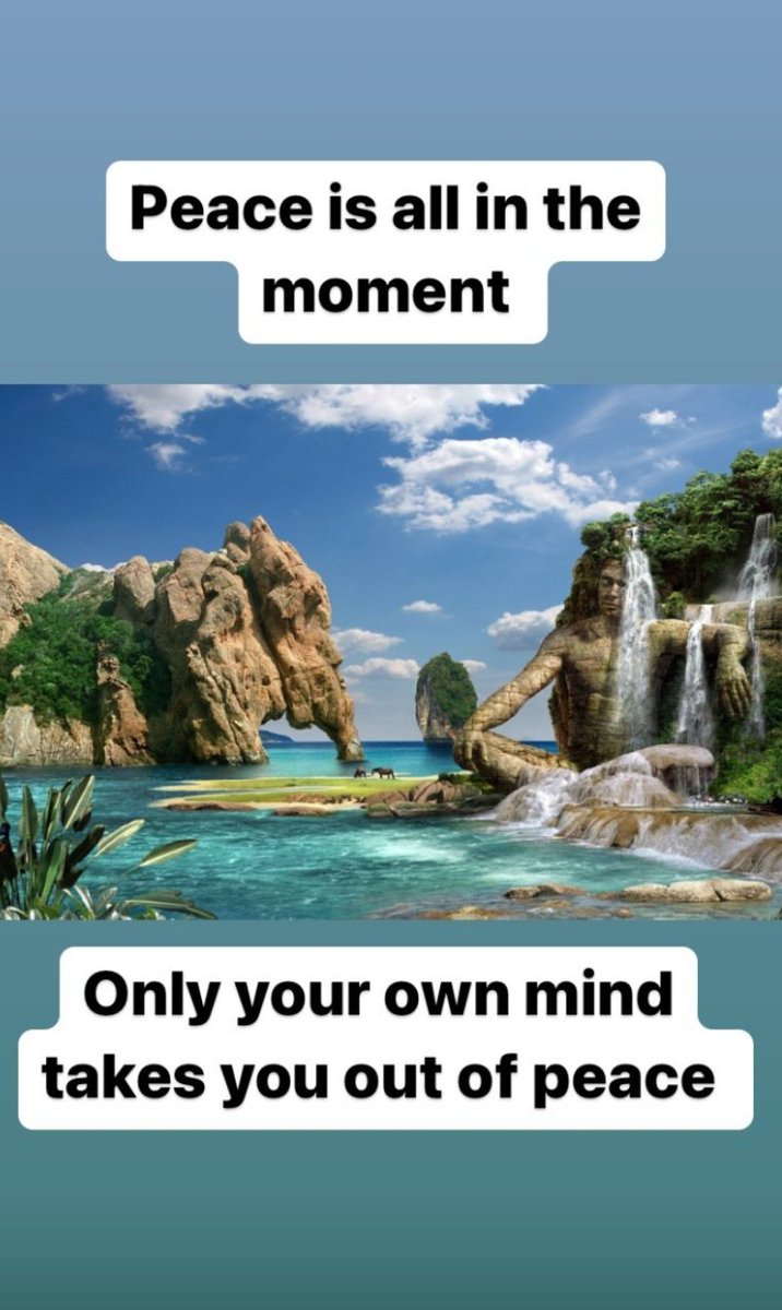 Cup of Tea (@chelseeperry) on Twitter photo 