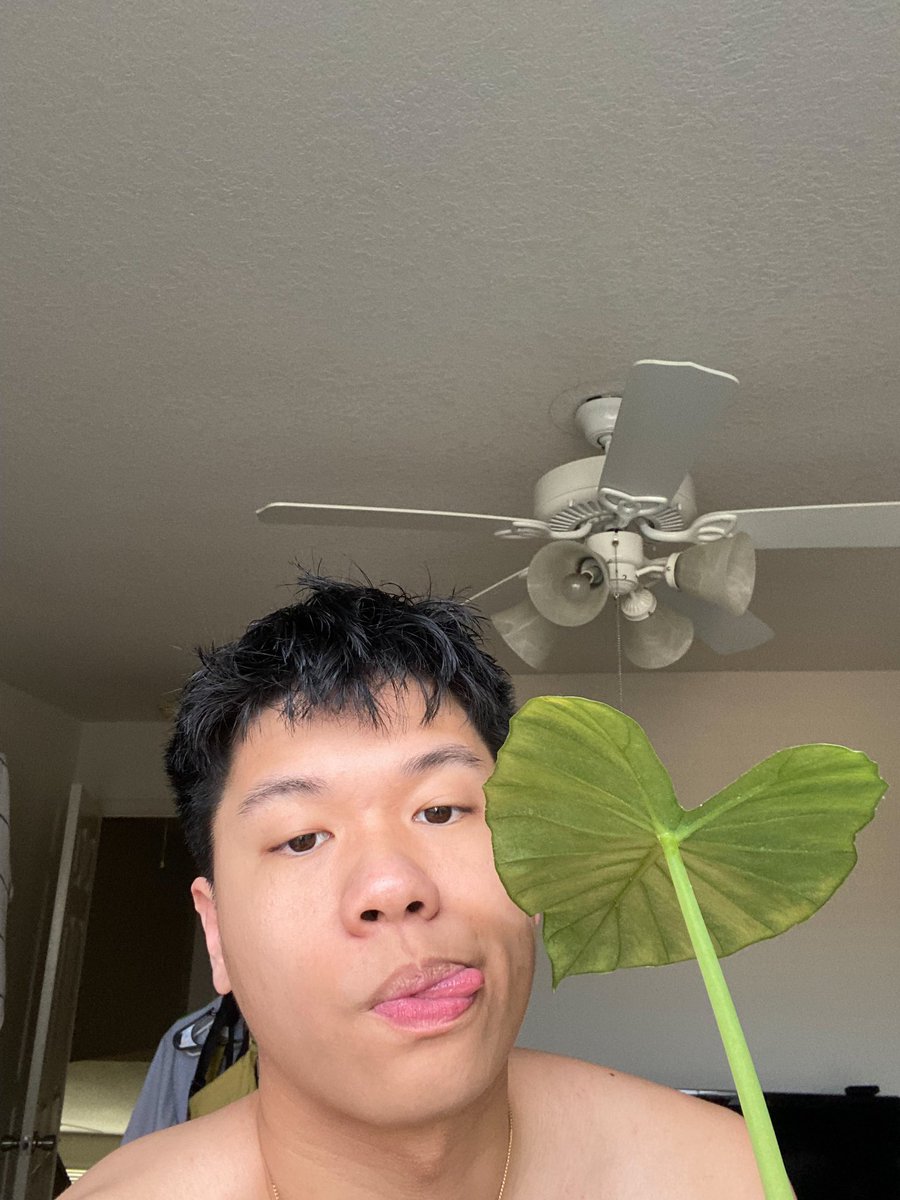 VANSON tweet media