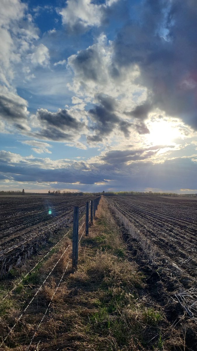 Finished seeding last night in the rain. Thankful for the crew we get to work with, and the wonderful rain.