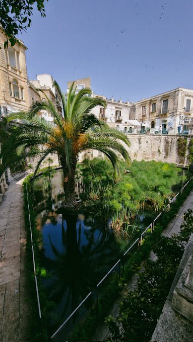 Sicily Days🥰 https://t.co/6hWibI3E8g