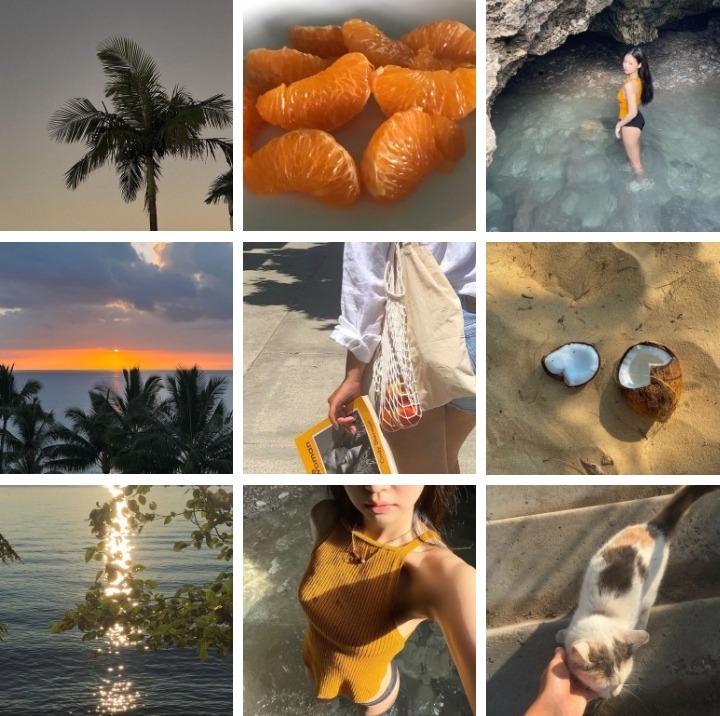 ✶ .           ⌢        ࣪              🫧