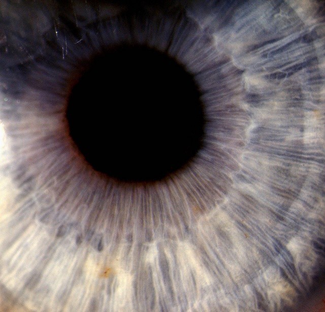 ‘‘ open.spotify.com/track/3BHR1mJO… ’’