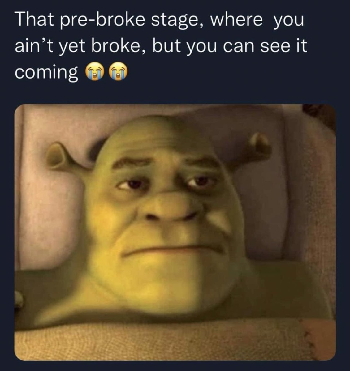 rich tweet media