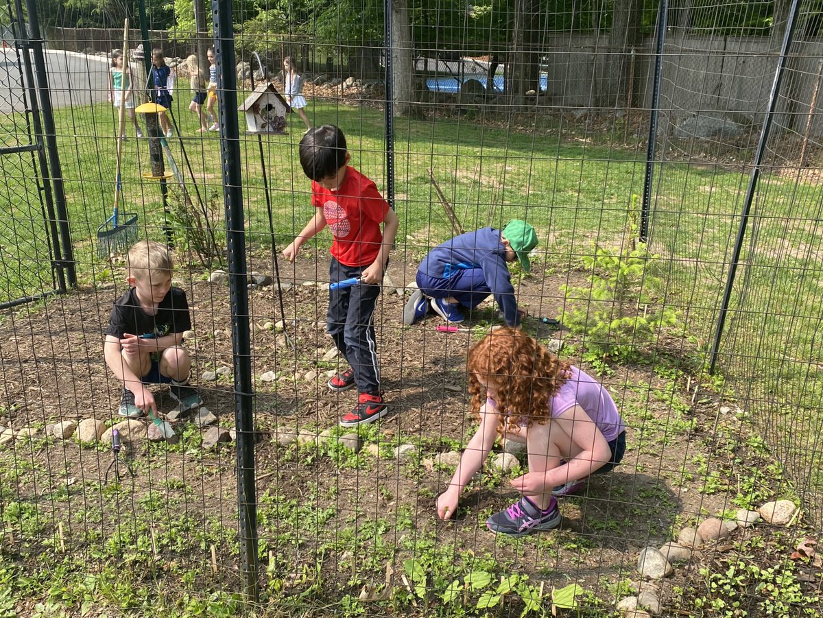 Tonianne Chanatski (@tchanatski) on Twitter photo Life’s a garden…dig it!!👩🏻🌾🧑🌾🪴<a href="/Hubbard_School/">MaryAHubbardSchool</a> <a href="/ramseyNJschools/">Ramsey School District</a> @MrsKfinnegan #teamworkmakesthedreamwork #schoolcommunity Life’s a garden…dig it!!👩🏻🌾🧑🌾🪴<a href="/Hubbard_School/">MaryAHubbardSchool</a> <a href="/ramseyNJschools/">Ramsey School District</a> @MrsKfinnegan #teamworkmakesthedreamwork #schoolcommunity