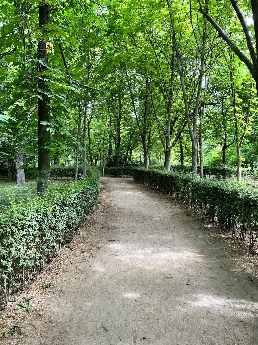 JimVerhoye's tweet photo. @DanBarreiroKFAN I enjoyed my time in the Motherland.  Madrid is a beautiful place. https://t.co/fKCanEVeD5
