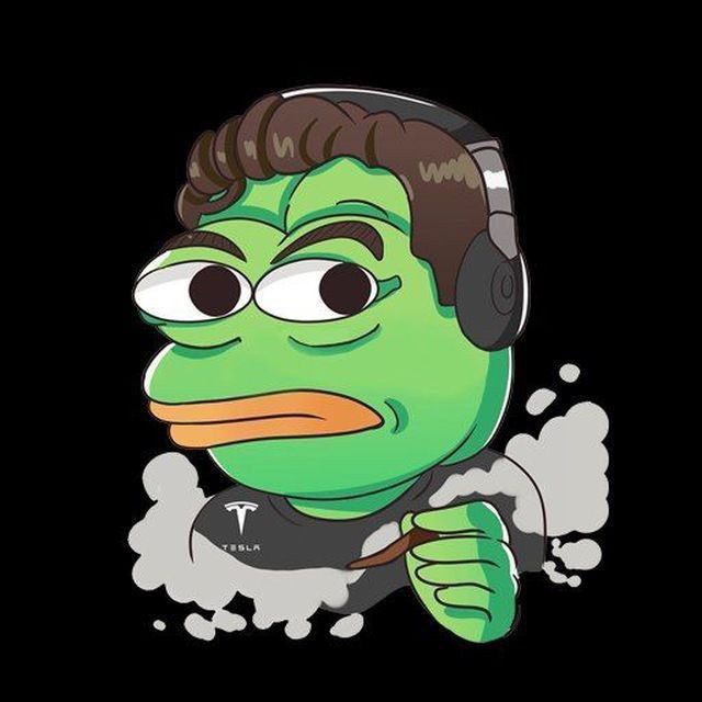 PepeMusk tweet media
