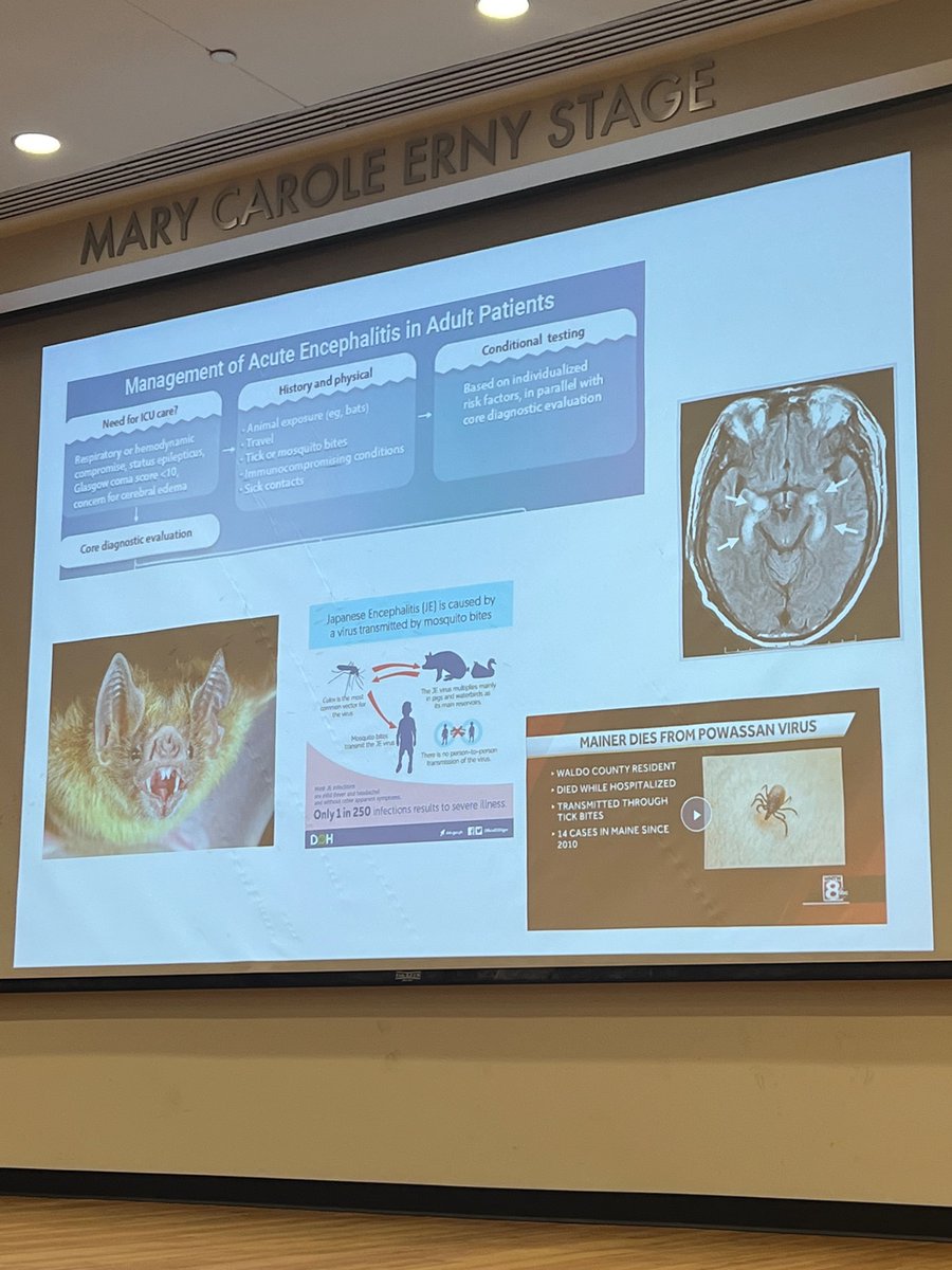 Temple IM Residency tweet media