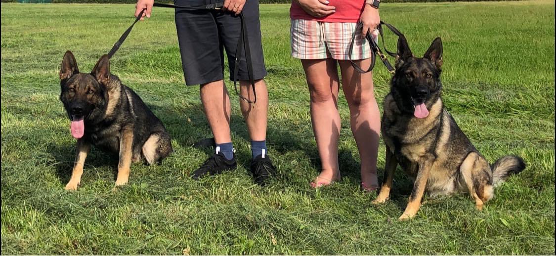 Lindsay Lane-Lobb tweet media