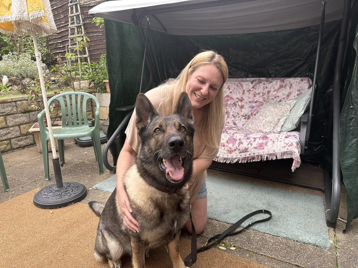 Lindsay Lane-Lobb tweet media