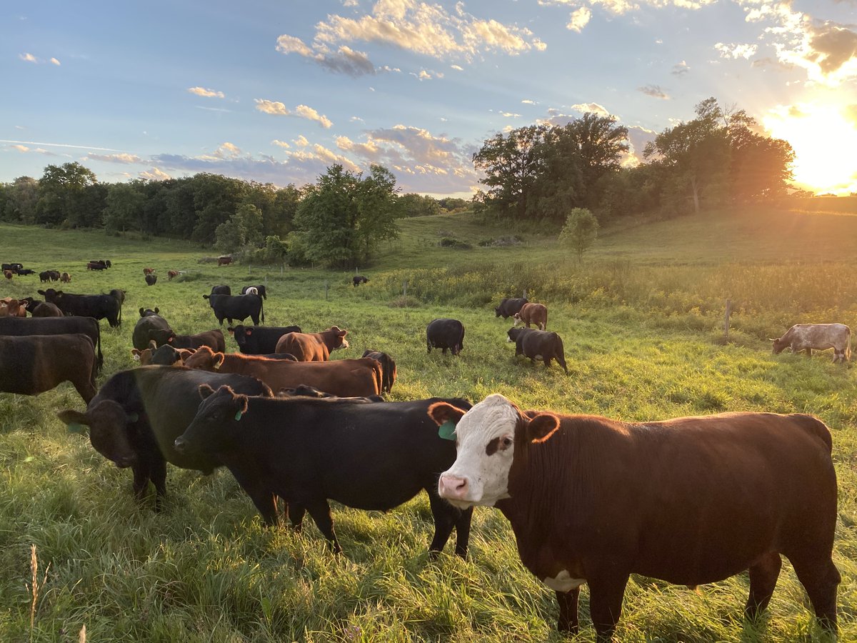We're working on a fun event here in the USA for journalists to get out of the land &amp; learn what #regenerativeagriculture is, how our team is scaling it globally &amp; why it matters. If you're a member of the media &amp; want to learn more, DM us. #HARO #Environment #ClimateNews