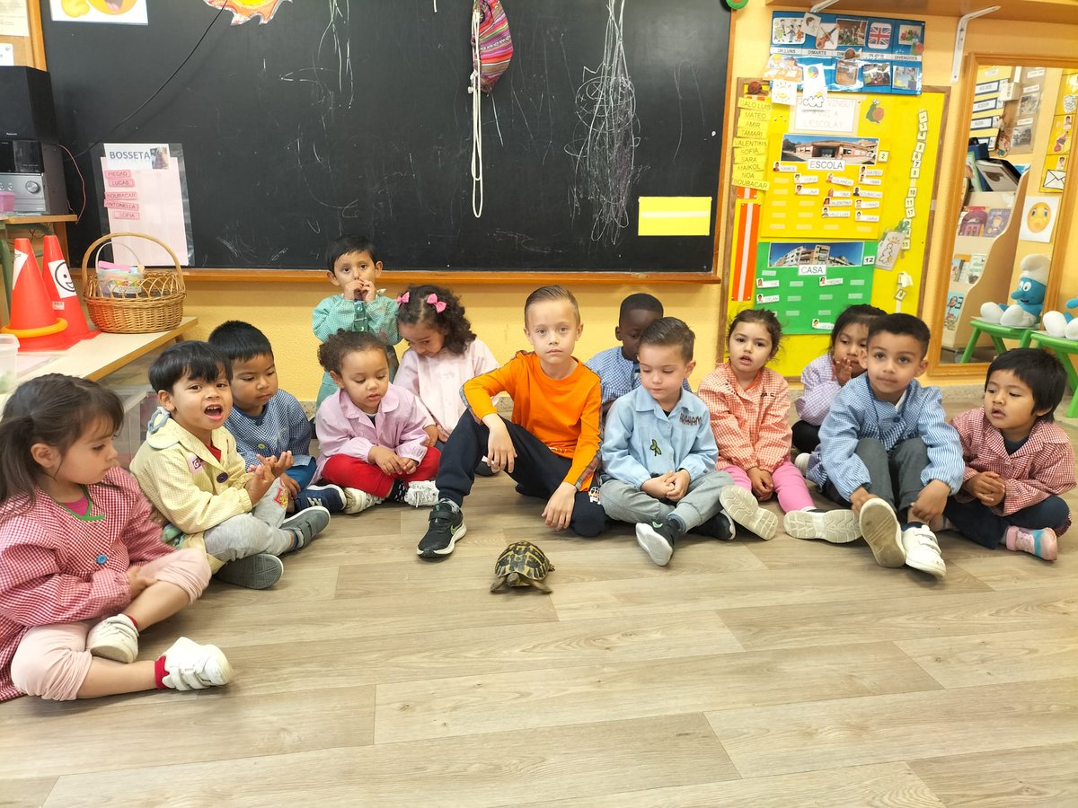FontRosella's tweet photo. A les classes de I3 ens ha vingut a veure la mascota de l’Abraham “ La Manuelita” una tortuga molt divertida que no ha parat de caminar.@AmpaFontRosella @aliancesmagnet @sbdeducacio https://t.co/34IGnCn5jW