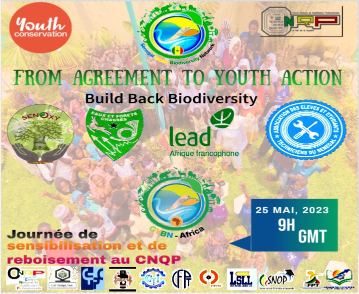 From agreement to youth action! See you tomorrow at 09 am GMT to raise awareness📢& Regreening🌱the living environment of #CNQP📍 students We invite you all🙌🏾🙂! @GYBN_Senegal #Eauxetforêts #ADEETS @SenOxy9 🍀#kebetu #YouthConservation #GybnSenegal @LamineD24621731 @ABG_49 🌱