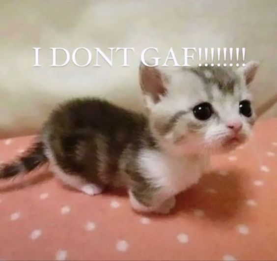 me ♡ (@lushchipbutty) on Twitter photo 