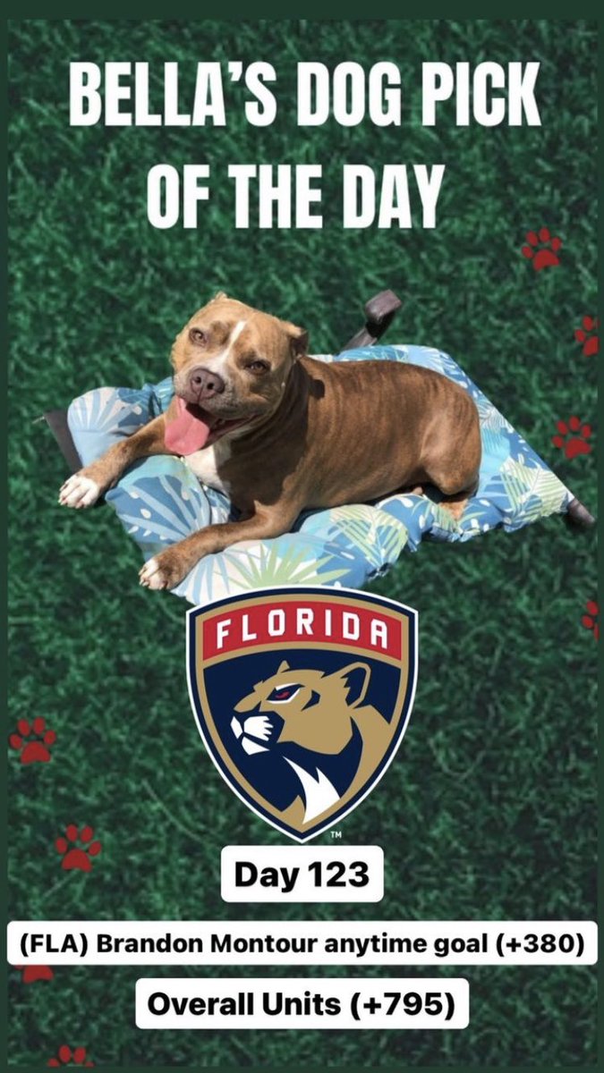 TheLocksOTD's tweet photo. 🐶BELLA'S DOG LOCK OTD🐶
‼️Overall Units +795‼️
🔥BELLA IS ON FIRE🔥
🏒(FLA) Brandon Montour 1+ Goal (+380)
#Bella #Dog #Dogs #DogPick #DogBet #FreePicks #FreeBets #NHL #NHLProps #NHLPicks #NHLPlayoffs #Panthers #Hurricanes #GamblingTwitter https://t.co/Btg3xHgBGJ