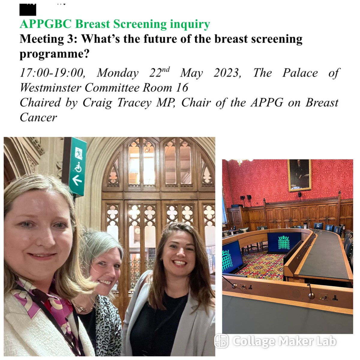 Our CanRisk team @Stephthepsych @fstutzin Nichola Fennell participated in @APPGBC meeting this week in Parliament. Our programme outcome will transform primary cancer care through personalised risk assessment by GPs (including screening options) according to that profile.