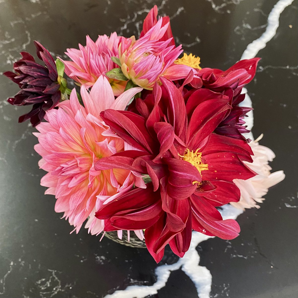 Bzzz_coding's tweet image. 👩🏻‍🌾 fresh cut dahlias from my garden