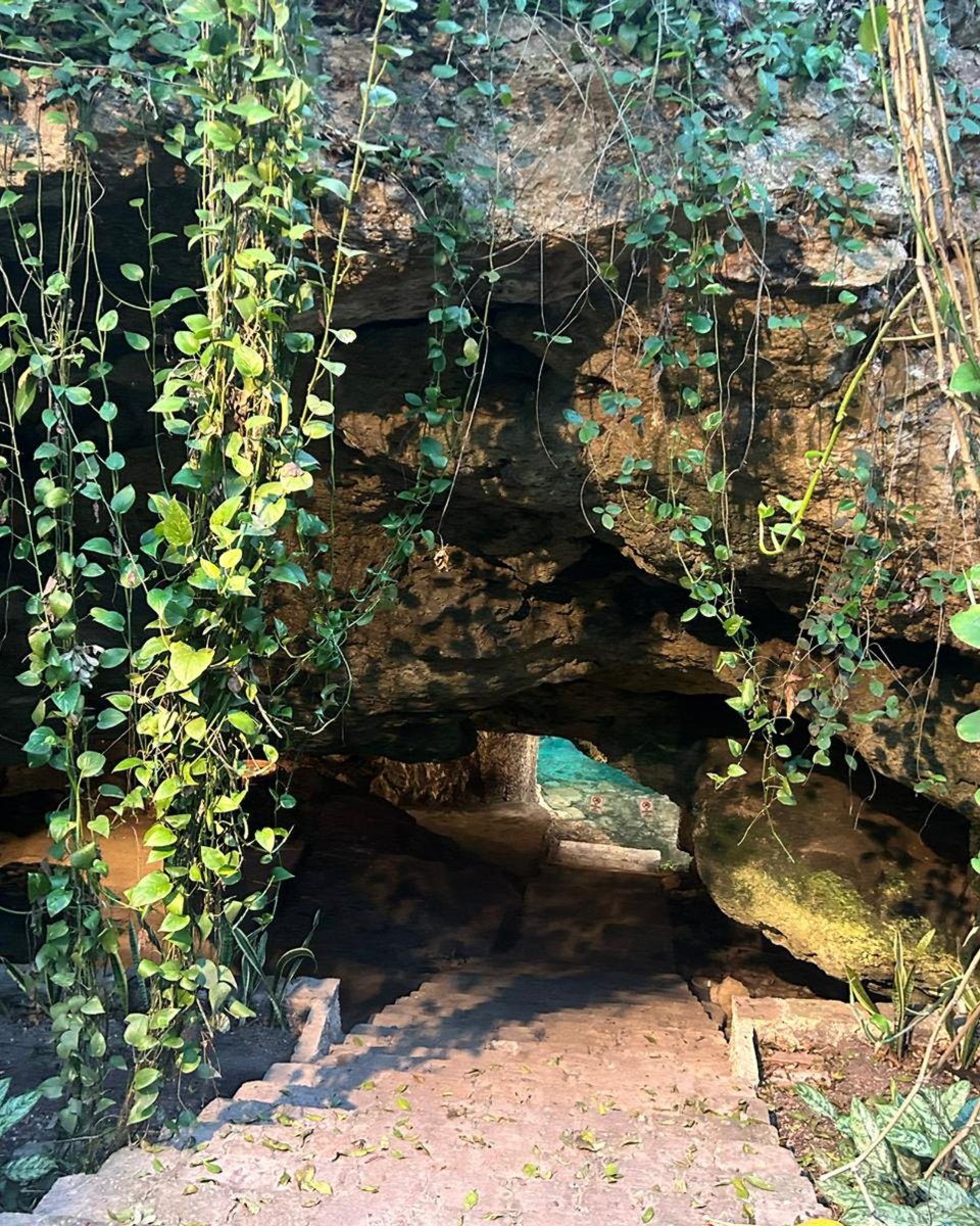 MODERN ADVENTURE tweet media