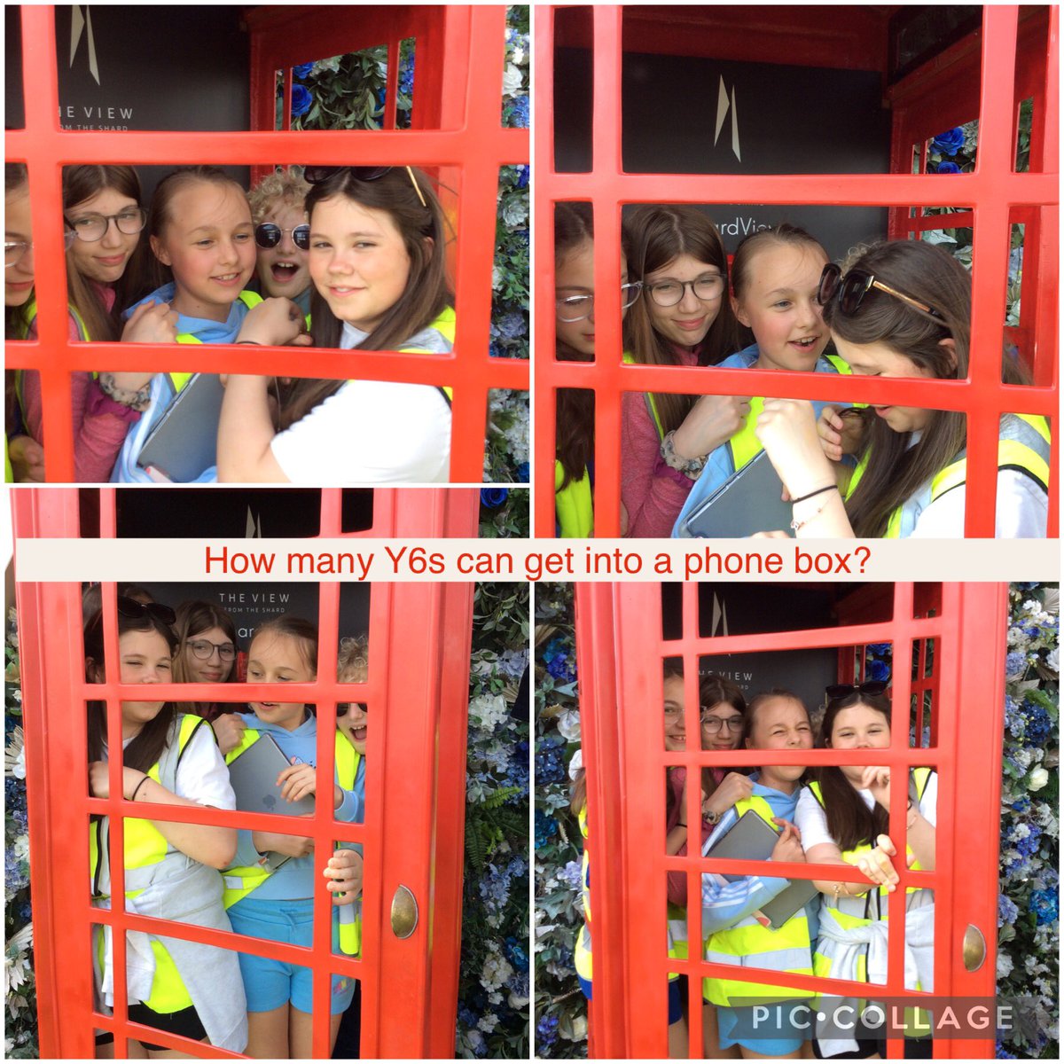 Mabs Cross Y6B tweet media