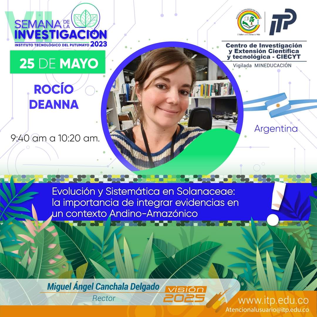 Tomorrow in Colombia...
More about nightshades! 🌶🍅

#Solanaceae 
#Amazonia 
#botany