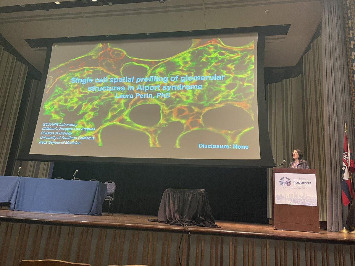 GOFARR Lab (@gofarrlab) on Twitter photo Today the GOFARR lab was represented by Dr. Perin at the #Podo23 meeting with a talk on the single spatial profiling of glomerular structures in Alport Syndrome. #kidneyresearch #podocytes <a href="/CHLAUrology/">CHLAUrology</a> <a href="/USC_Urology/">USC Urology</a> <a href="/ChildrensLA/">Children's Hospital LA</a> Today the GOFARR lab was represented by Dr. Perin at the #Podo23 meeting with a talk on the single spatial profiling of glomerular structures in Alport Syndrome. #kidneyresearch #podocytes <a href="/CHLAUrology/">CHLAUrology</a> <a href="/USC_Urology/">USC Urology</a> <a href="/ChildrensLA/">Children's Hospital LA</a>
