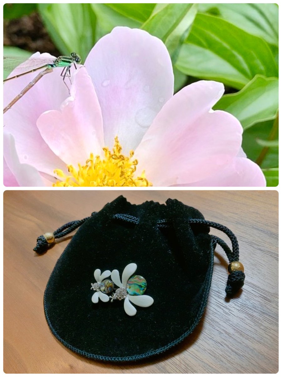 トンボが花に止まっていました
透き通った綺麗な色のトンボでした

帰宅後、トンボの形のブローチだったかな？
探したら、それはてんとう虫のブローチでした
最近使っていなかったので、忘れていました
また使い始めようと思います🐞😌

良い日になりますように🍀👒🌼