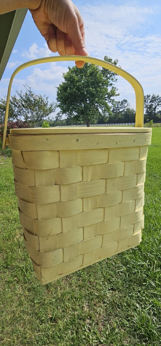 Tiffany 🫶🏼🩷🤙🏼 on Twitter "My new snack basket. 🍓🍌🍇🥑🥔🥕🍅🥩🥗"