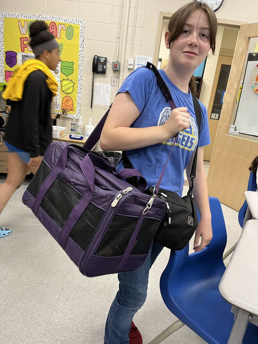 Quinn Welsh tweet media