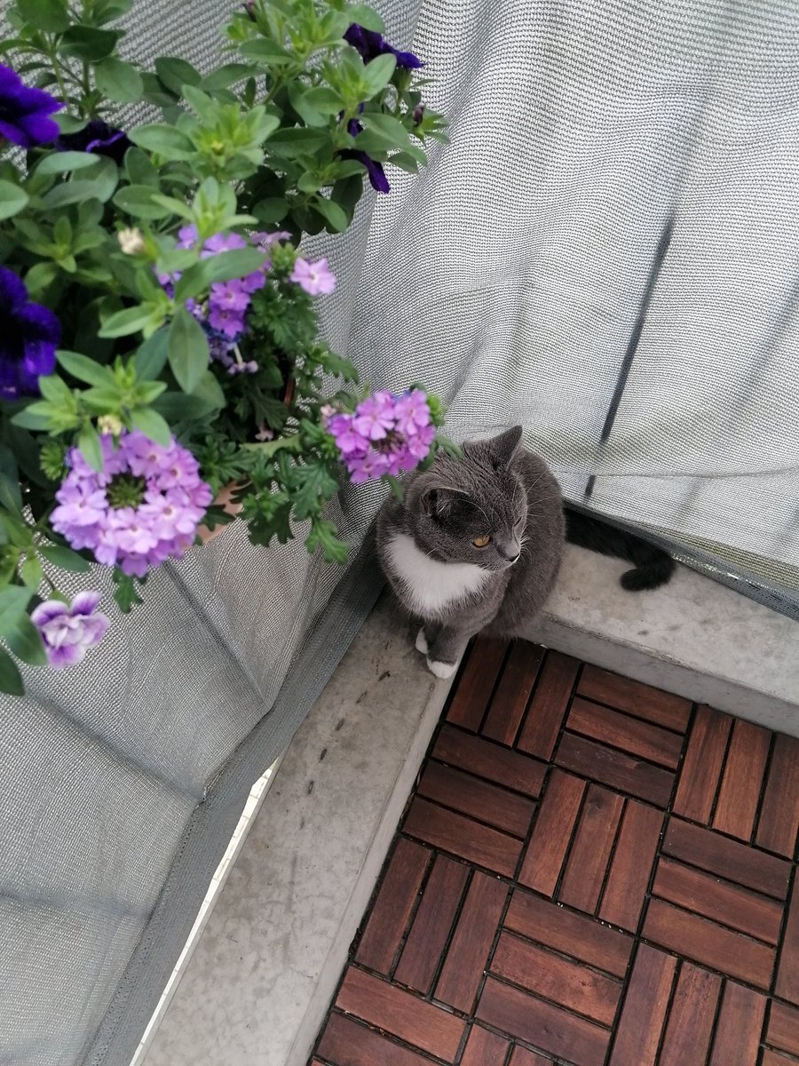 kkirsche's tweet photo. hayatımın askı anlamı 💕 https://t.co/fFsQPwEtXm
