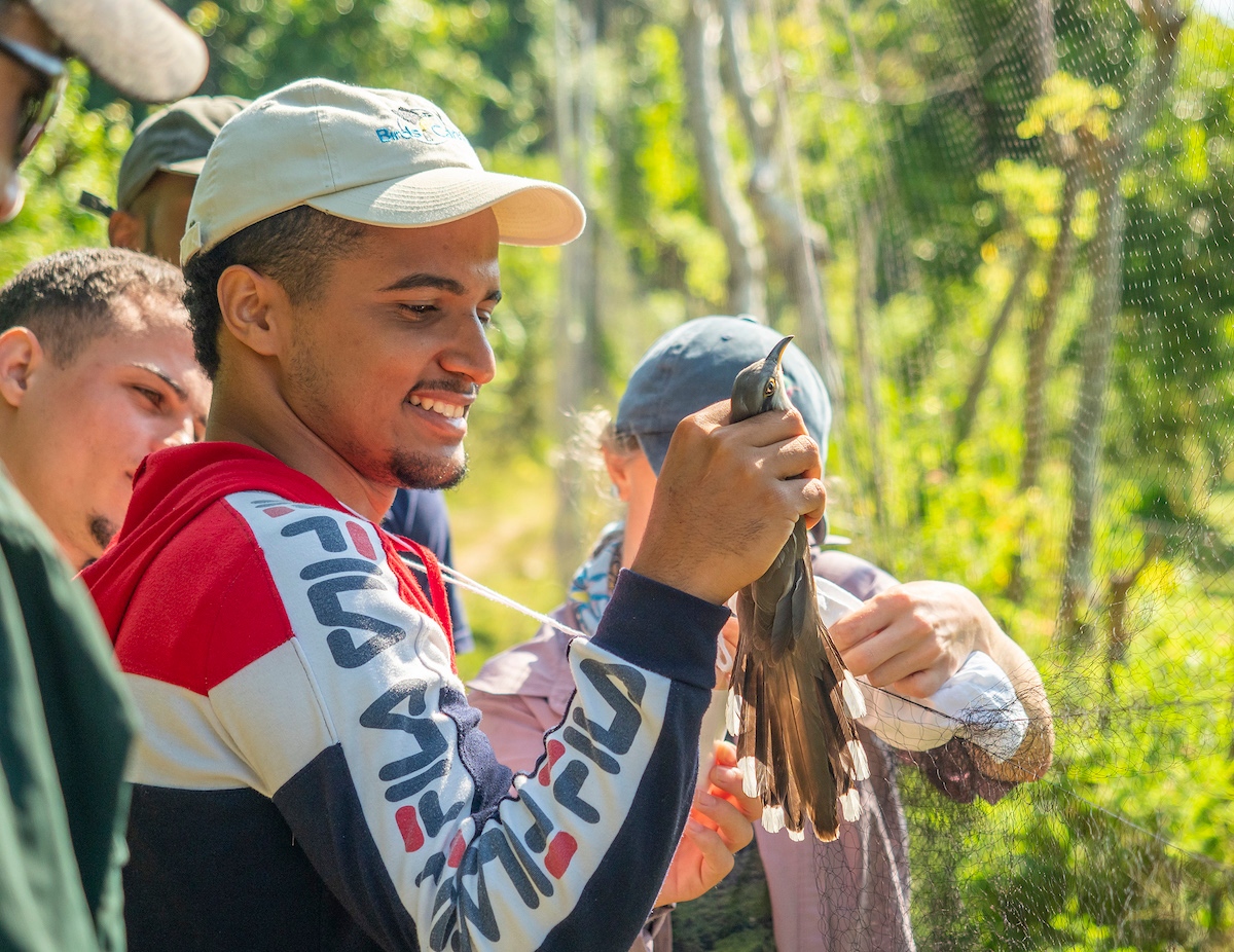 BirdsCaribbean's tweet photo. In today's #blog Elvin Estévez provides a delightful account 💚 of his experiences at our #bird banding workshop in the #DominicanRepublic 🇩🇴 &amp; shares how #molt plays a critical role in a bird bander’s journey: https://t.co/ohuwHRkzEZ

@ambienterd @grupojaragua https://t.co/jqiA8GWvDe