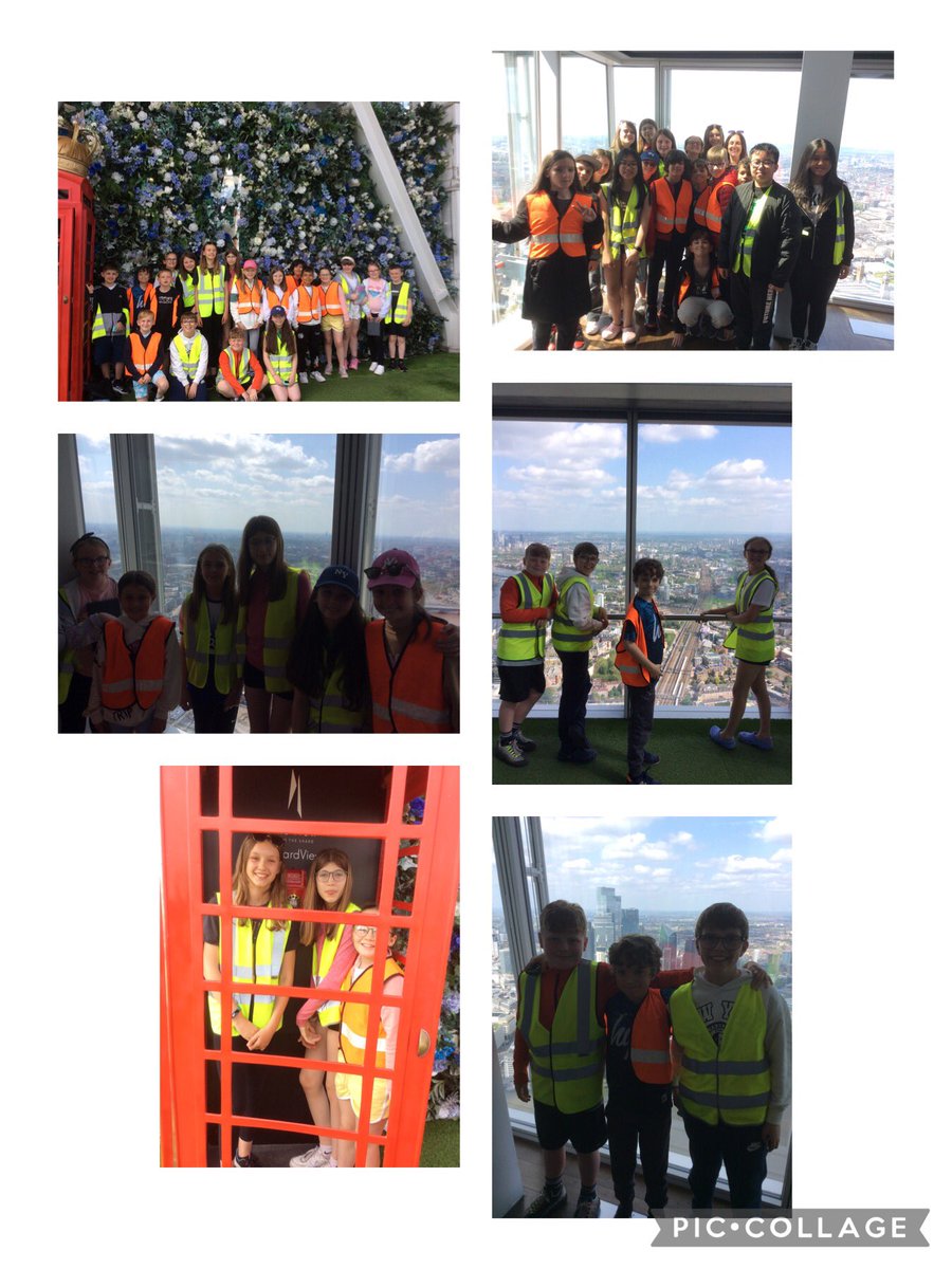 Mab's Cross Primary tweet media