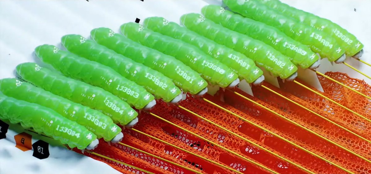 Ewan Wilson tweet media