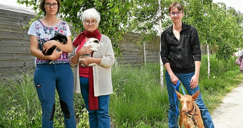 TLGLanderneau's tweet photo. À Landerneau, des lapins à adopter au Refuge animalier
➡️ https://t.co/DS2VjmJVuJ https://t.co/6AxNIeWtBI