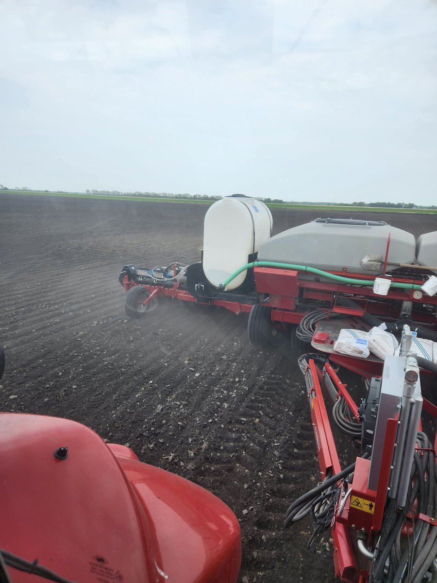 David Boerchers tweet media