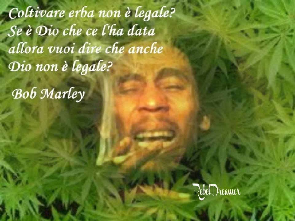 Pensiero Libero (@pensiero1967) on Twitter photo 