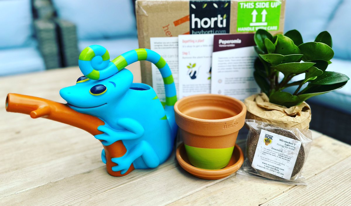 Sampling this #plantsubscription box via heyhorti.com. 🍃. It’s about living the contagiously good #horticultural lifestyle, & it’s ok to get dirty! #planting #plantingideas #plantingtips #familytime #outdoorspace #amreviewing #subscriptionbox #subscriptionboxes 🌿☀️💟