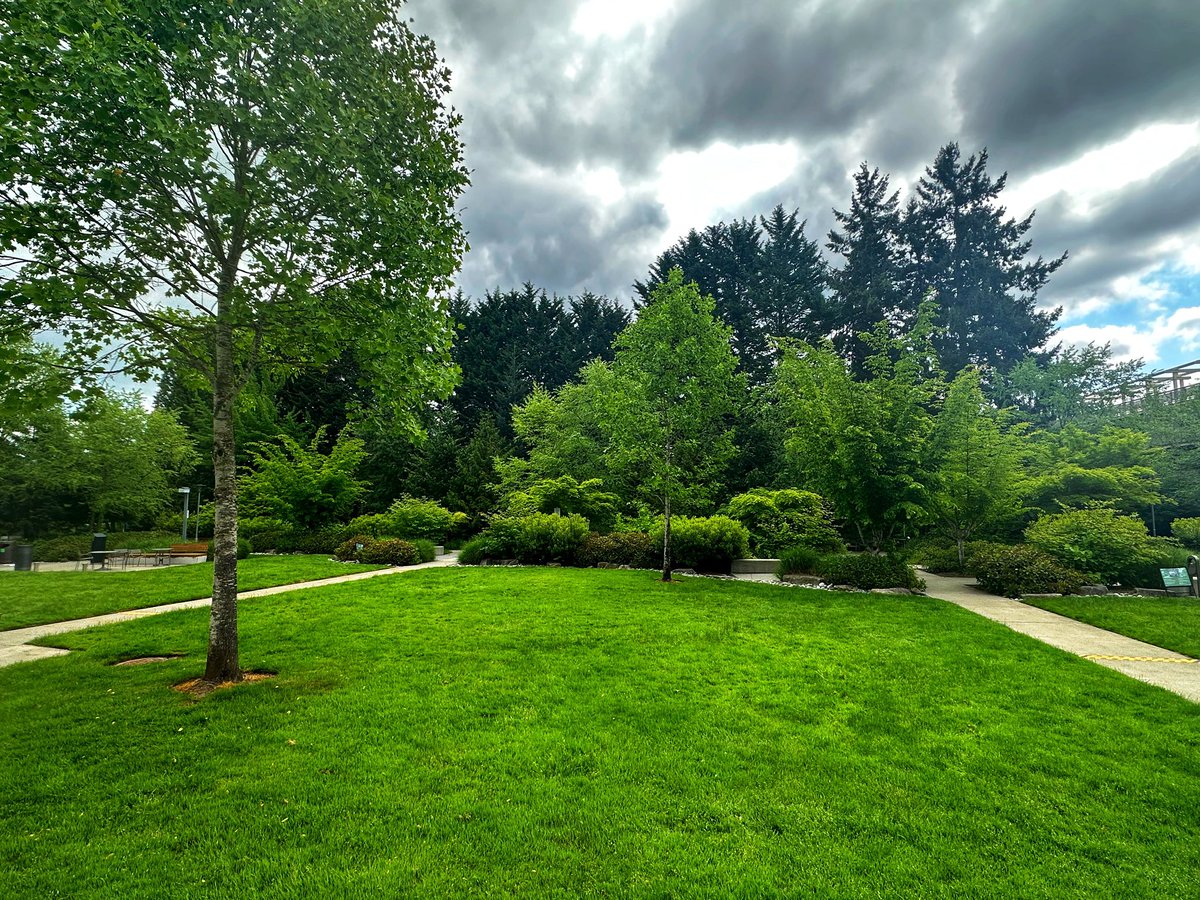 Pallavi Pangarkar tweet media