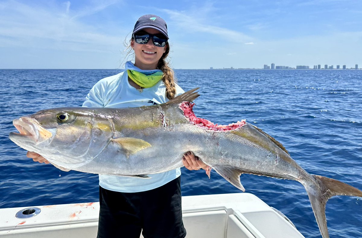 CATCH CLEAN COOK PARASITE INFESTED FISH - Amberjack 

youtu.be/X--F-vR68q8