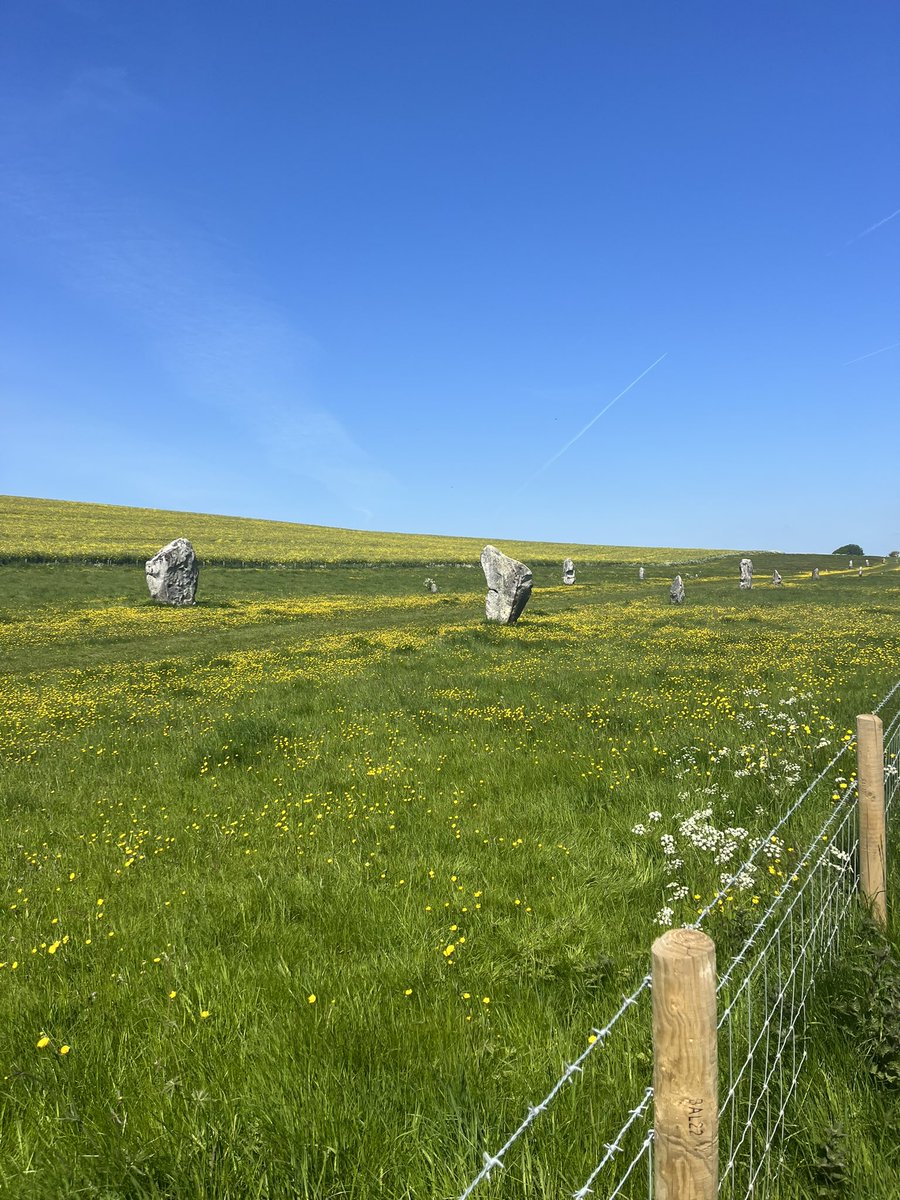 Local deliveries in rural Wiltshire today.