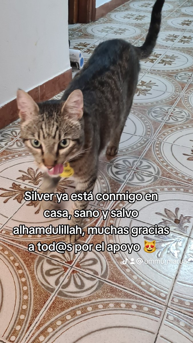 Moltes gràcies a tothom 🫶🏻