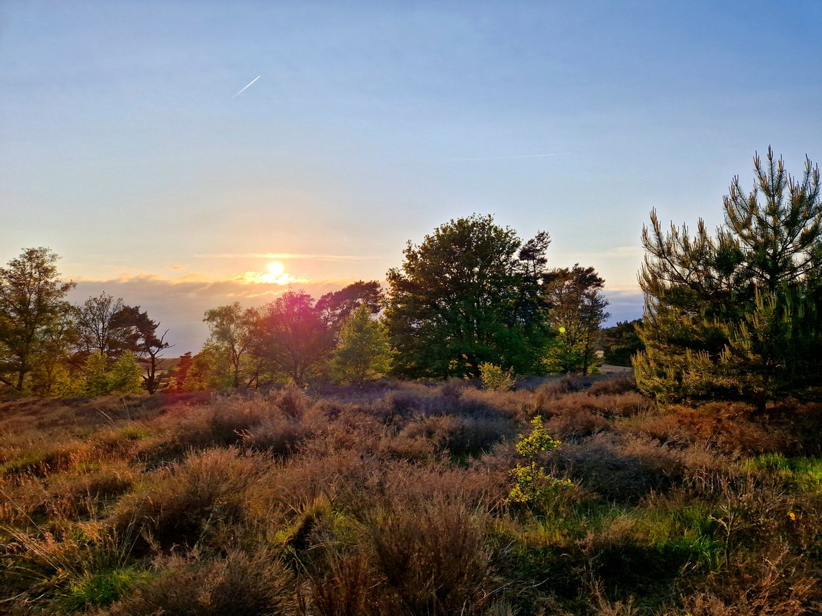 Rondje Veluwe vanavond🥰