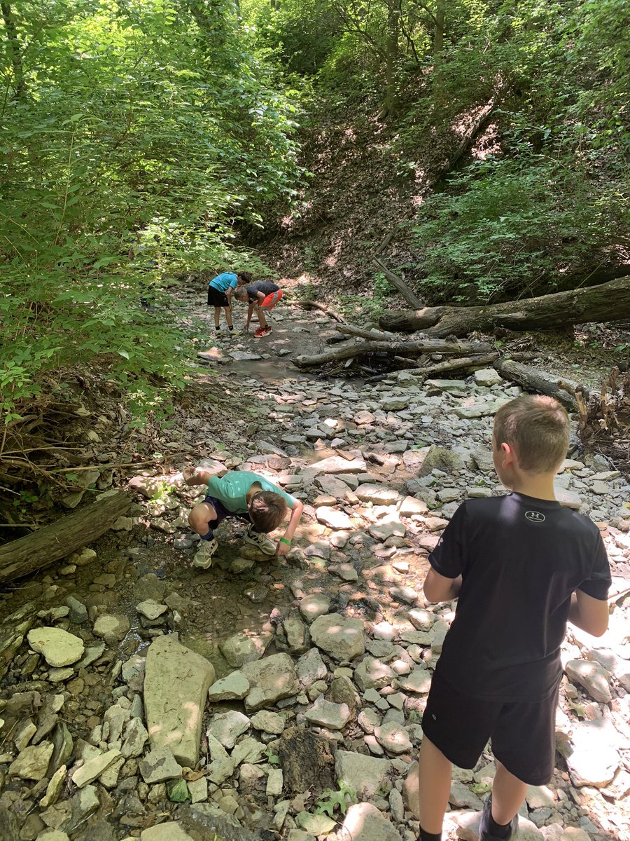 Miss Sullivan tweet media