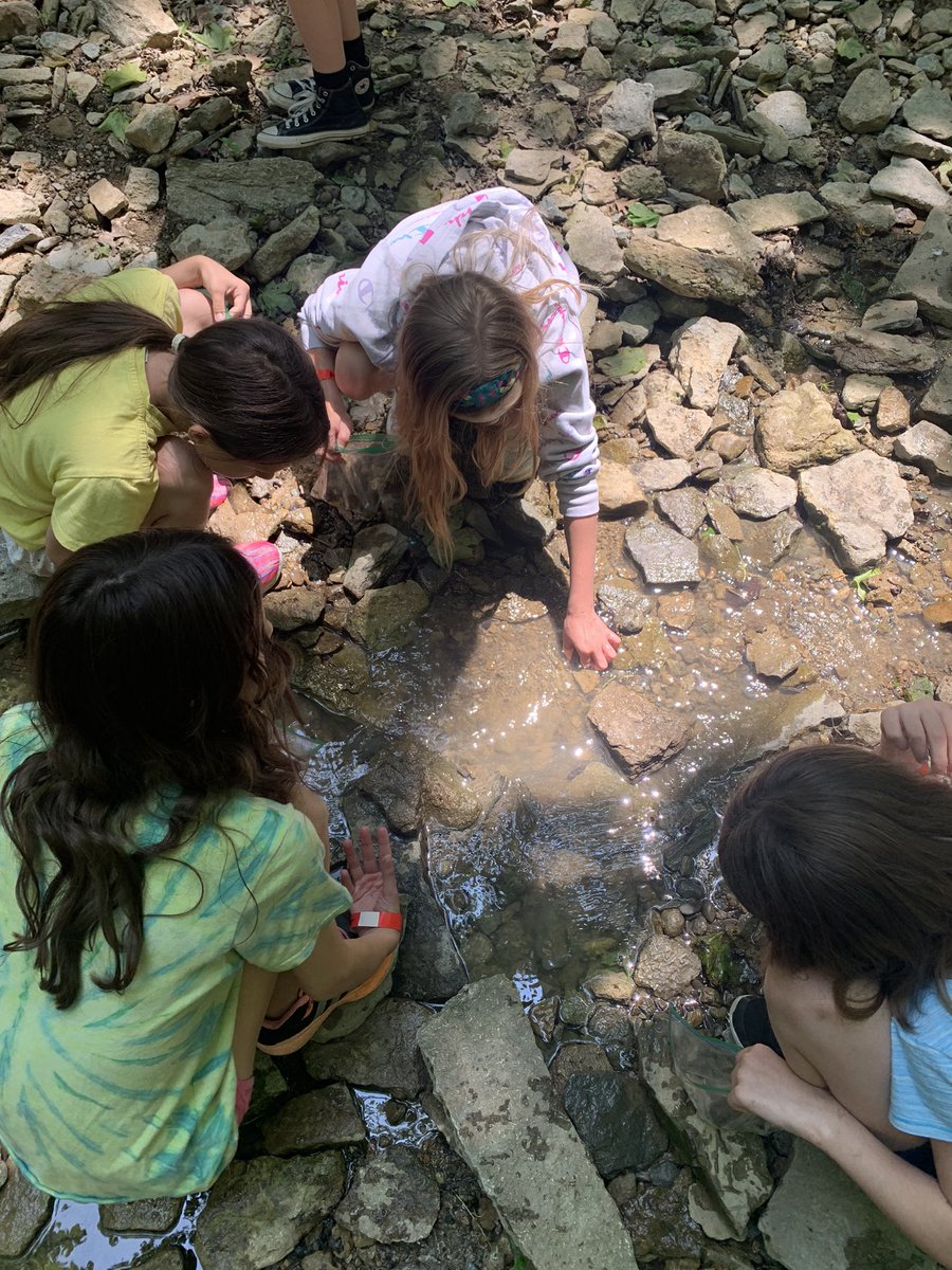 Miss Sullivan tweet media