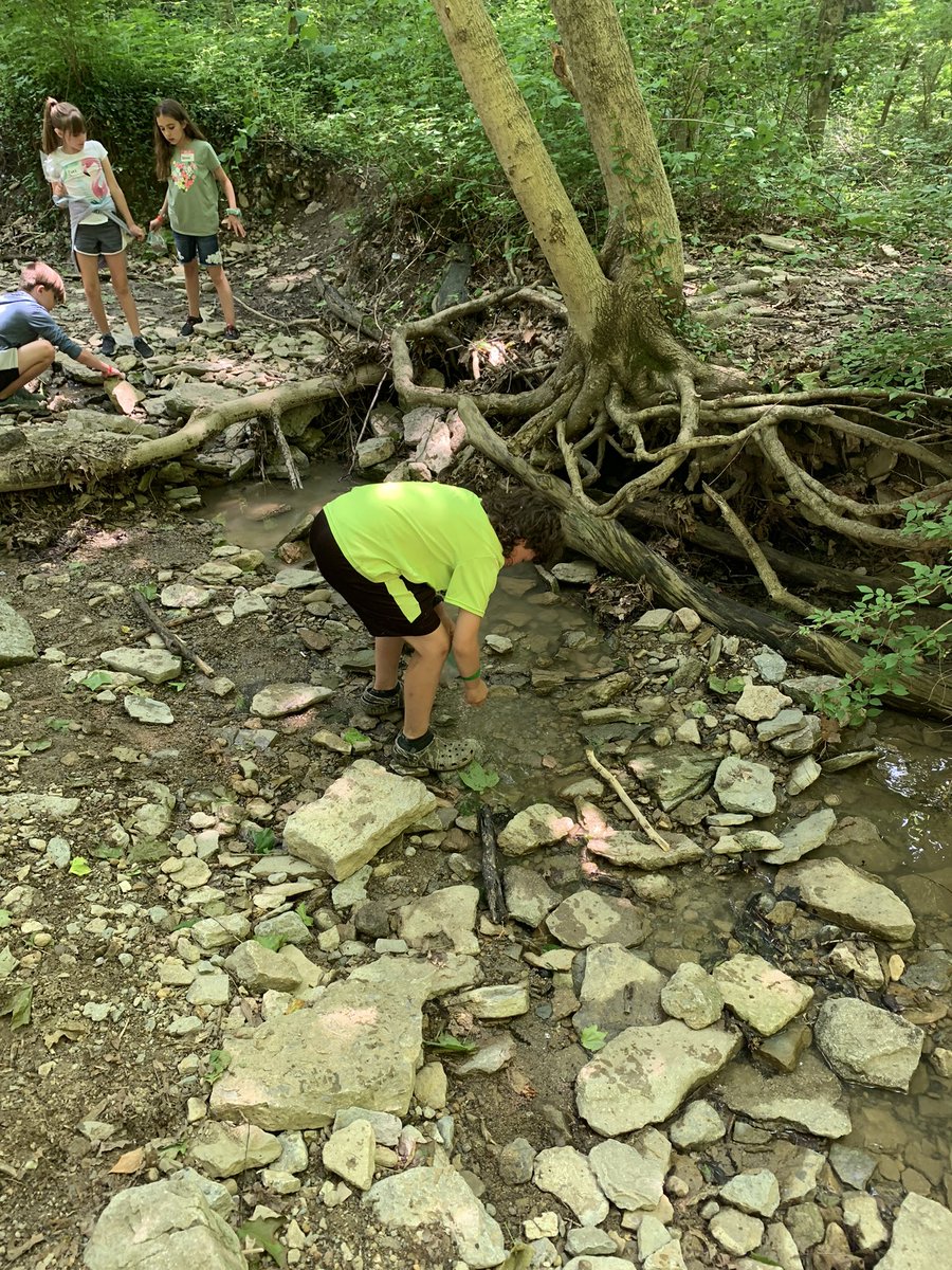 Miss Sullivan tweet media