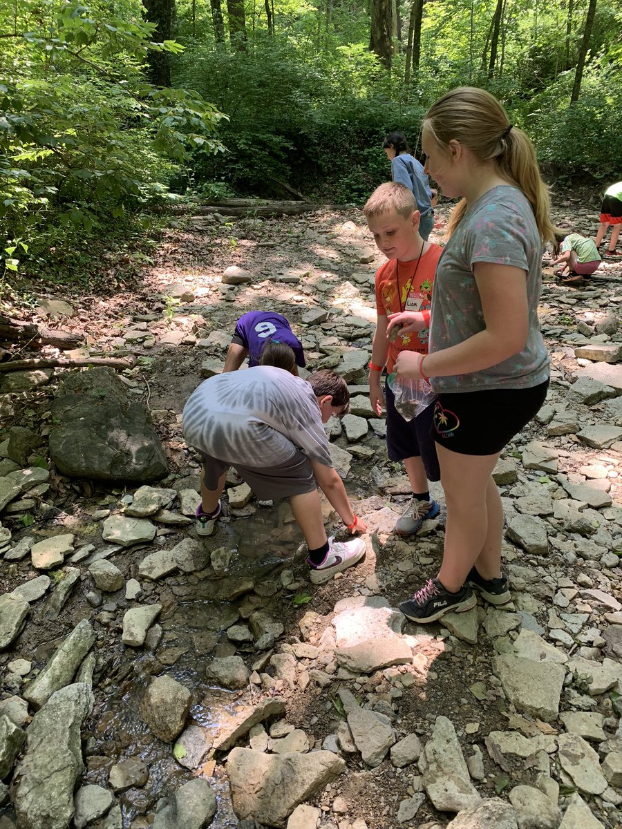 Miss Sullivan tweet media